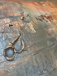 Textura de oro envejecido