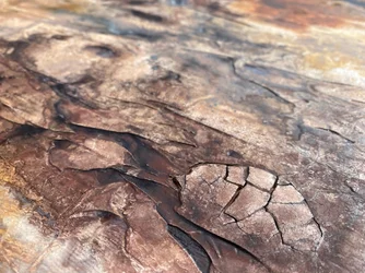 Textura de tierra agrietada