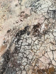 Textura de tierra agrietada