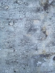 Textura gris agrietada