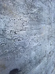 Textura metálica agrietada