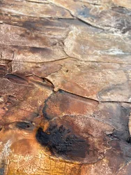 Tierra agrietada dorada