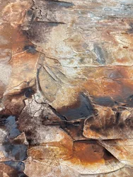 Texturas orgánicas desgastadas