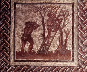 Arte galorromano: pavimento de mosaico que representa un calendario rústico. Escena de recogida de aceitunas. Finales del siglo II, principios del siglo III d. C. Procedente de Saint-Romain-en-Gal (Ródano). Saint-Germain-en-Laye, Museo Nacional de
