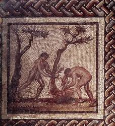 Arte Galo-Romano: pavimento de mosaico que representa un calendario rústico. Escena de techado. Finales del siglo II, principios del siglo III d.C. De Saint-Romain-en-Gal (Rhone). Saint Germain en Laye, Museo Nacional de Arqueología