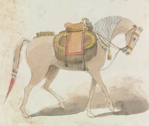 Caballo ensillado de forma elaborada