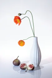 Amapolas naranjas e higos