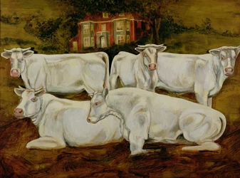 Toros Charolais, Dippenhall, Farnham
