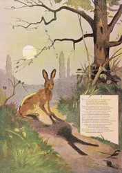 Las orejas de la liebre, de Fábulas de Jean de La Fontaine (1621-95)