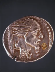 Presunto perfil de Vercingetorix en una pieza gaulesa. Museo del Medagliere. Milán