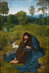 Juan Bautista en el desierto