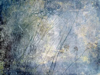 Bosque invernal etéreo