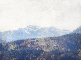El bosque de Misty Mountain
