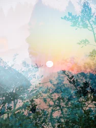 Perfil de «Serene Nature»