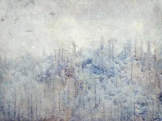 Árboles nevados y serenos