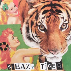Tigre sucio, 2019 (collage)