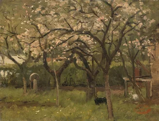 Árbol en flor en un huerto