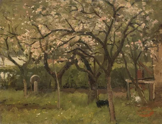 Árbol en flor en un huerto