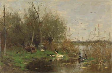 Patos junto a un refugio para patos en una zanja