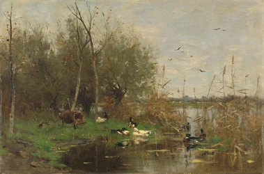 Patos junto a un refugio de patos en una zanja