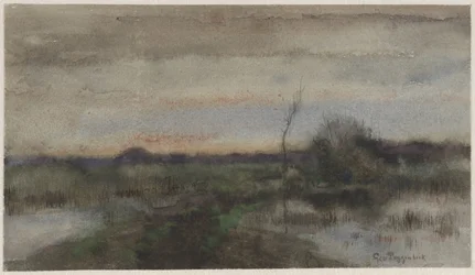Paisaje pantanoso con puesta de sol
