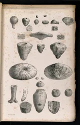 Tabla 006