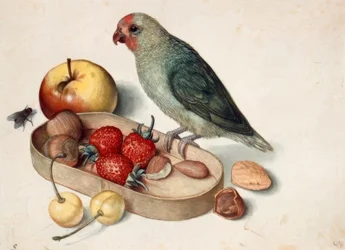 Naturaleza muerta con periquito
