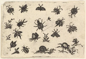 Pequeños motivos de insectos y plantas