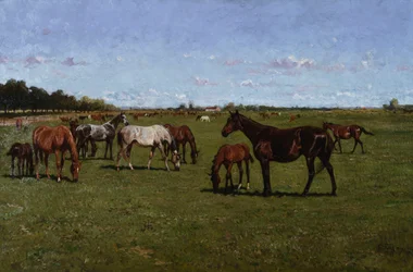 Yeguas y potros, 1917