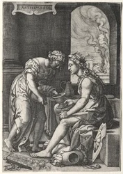 Artemisia