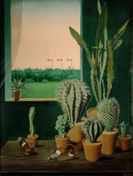 Cactus y semáforos