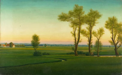 Paisaje de páramo