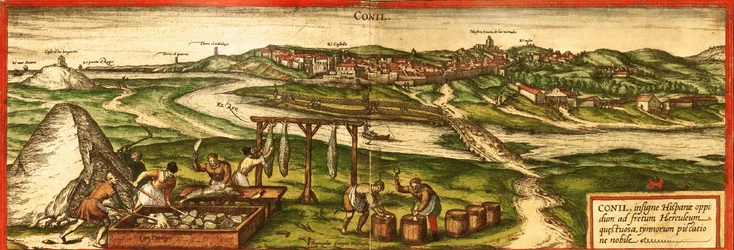 Mapa Características madejas