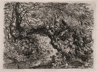 El viejo sauce en un arroyo, 1794
