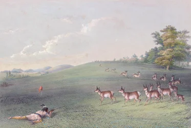 Cartera de indios norteamericanos de George Catlin