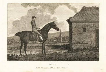 Retrato del caballo de carreras de pura sangre Otho