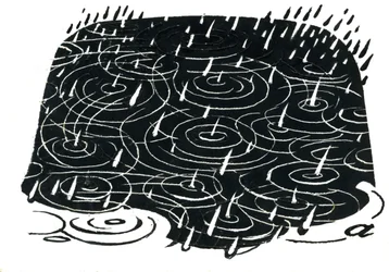 Diseño de charco de lluvia