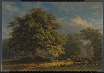 Vista del bosque de Bentheim