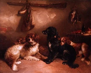 Después de la caza - Un cuarteto de spaniels