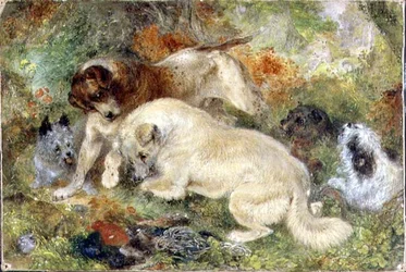 Terriers y conejos en un bosque