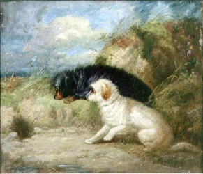 Terriers junto a un agujero de conejo