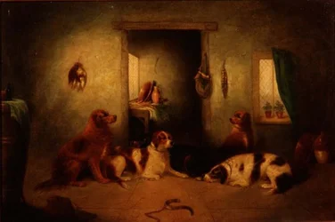 Los perros de la cocina