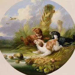 Tres spaniels espantando ánades reales