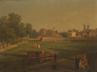 Vista occidental de parte de Westminster y del Paseo de las Jaulas de Pájaros tomada desde la Casa del Molino...,