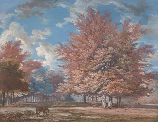 Vista en un parque