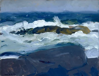 Arrecife rocoso, Maine