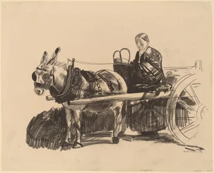 El carro de burro