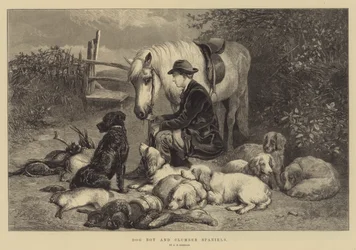 Niño perro y Clumber Spaniels