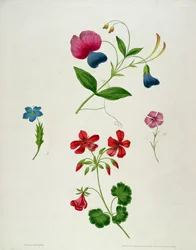Una ilustración de 
