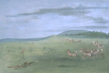 Caza de antílopes con señuelos